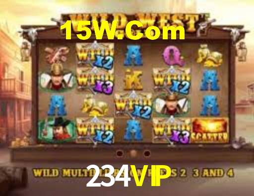 234VIP,234vip.com