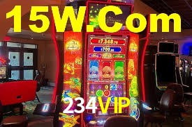 234VIP,234vip.com